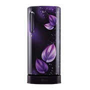 LG GL-D241APVZ single door refrigerator front view