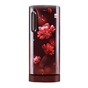 LG GL-D241ASCY single door refrigerator front view