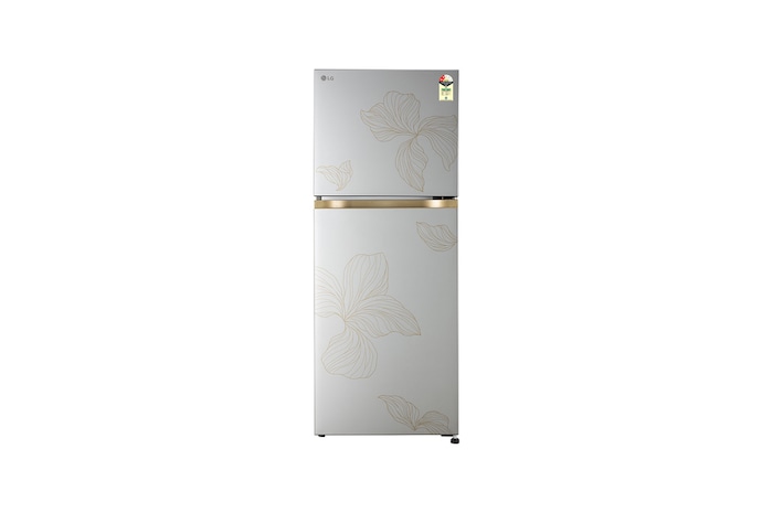 LG GL-N252YRIY Double Door Refrigerator front view