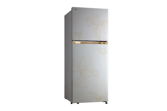 LG 225L Double Door Refrigerator with Smart Mode, Auto Smart Connect, Smart Inverter Compressor, Multi Air Flow, Radiant Inox, 2 Star, GL-N252YRIY
