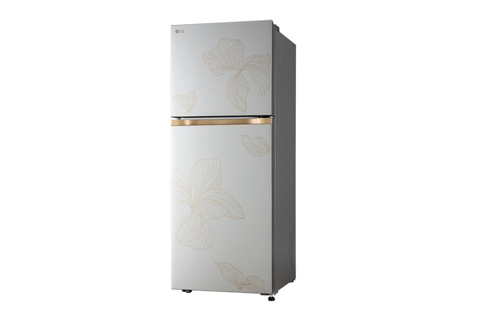 LG 225L Double Door Refrigerator with Smart Mode, Auto Smart Connect, Smart Inverter Compressor, Multi Air Flow, Radiant Inox, 2 Star, GL-N252YRIY