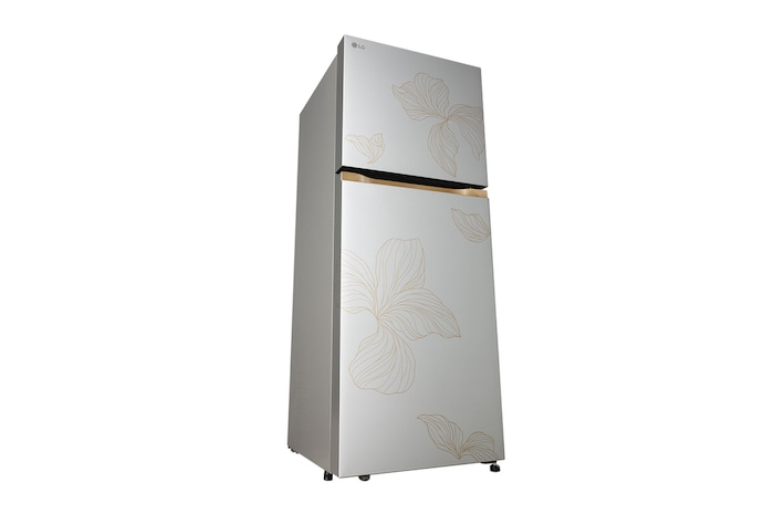LG 225L Double Door Refrigerator with Smart Mode, Auto Smart Connect, Smart Inverter Compressor, Multi Air Flow, Radiant Inox, 2 Star, GL-N252YRIY