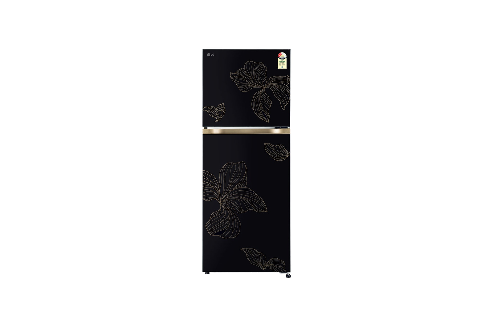 Front view of LG 225L Double Door Refrigerator with Smart Mode, Auto Smart Connect, Smart Inverter Compressor, Multi Air Flow, Radiant Onyx, 2 Star GL-N252YROY