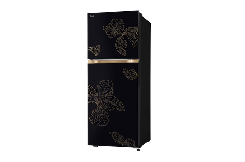 LG 225L Double Door Refrigerator with Smart Mode, Auto Smart Connect, Smart Inverter Compressor, Multi Air Flow, Radiant Onyx, 2 Star, GL-N252YROY