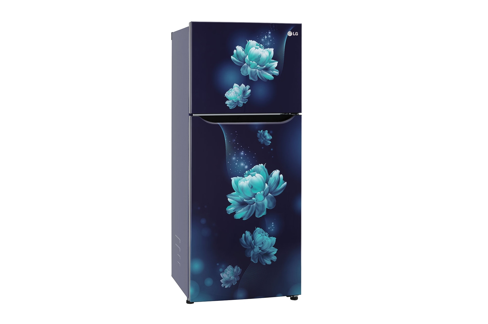 GL-N292BBCY-Refrigerators-Right-View