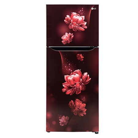 Range catalogue- Double Door Refrigerator