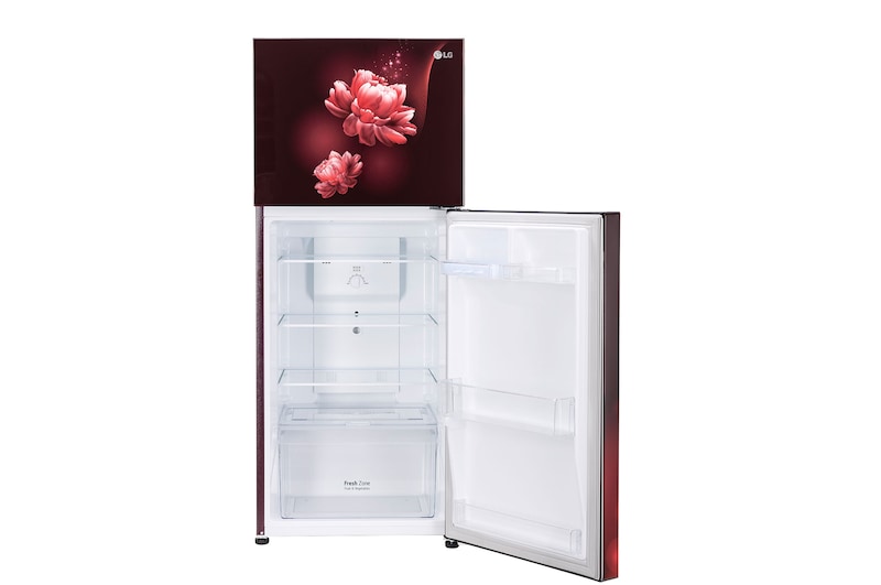 LG GL-N292BSCY-Refrigerators-Front-View-Bottom-Door-Open-Without-Content