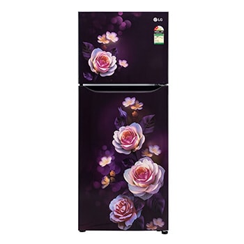 Front view of LG 242L Double Door Refrigerator with Smart Inverter Compressor, Multi-Air Flow, Purple Bloom, 2 Star GL-N292DPBY