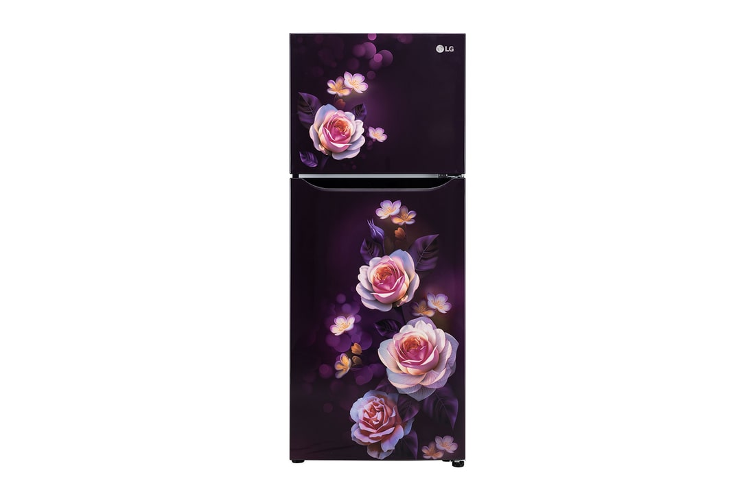 LG gl-n292dpby double-door-refrigerators front view