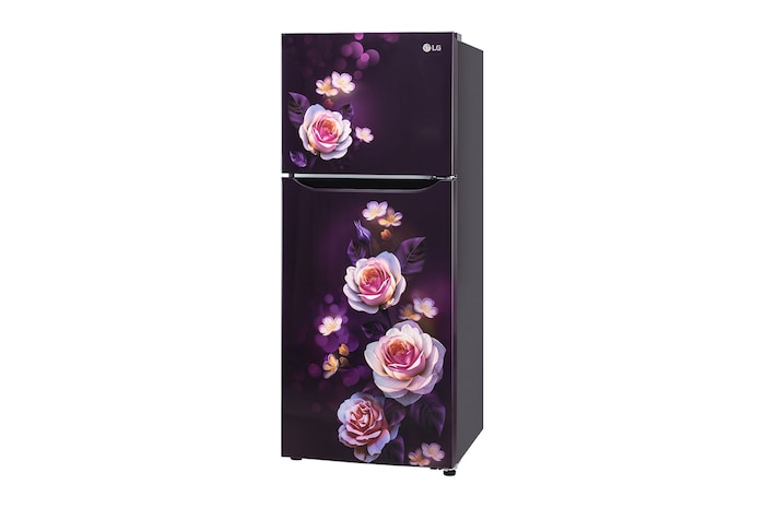 GL-N292DPBY-Refrigerators-Right-View
