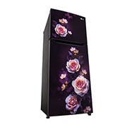GL-N292DPBY-Refrigerators-Left-View-Door-Open-Without-Content