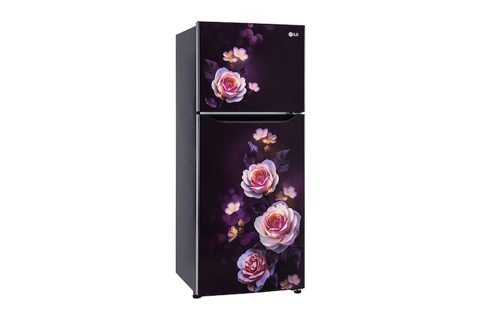 GL-N292DPBY-Refrigerators-Left-View