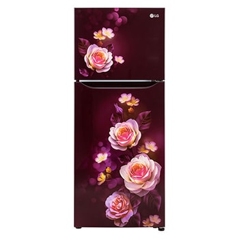 LG GL-N292DSBY.ASBZEBN: Manual & Software - Support | LG IN