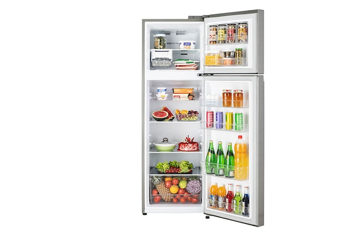 LG 272L Double Door Refrigerator,  Smart Diagnosis™, Dazzle Steel Finish, 2 Star, GL-N312SDSY
