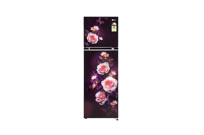LG GL-N312SPBY Double Door Refrigerators front view