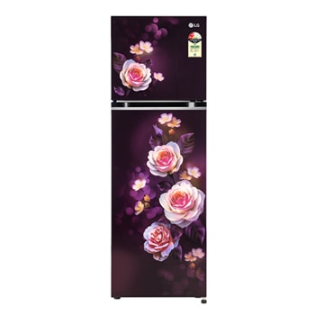LG GL-N312SPBY Double Door Refrigerators front view