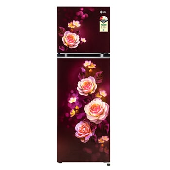 LG GL-N312SSBY Double Door Refrigerators front view