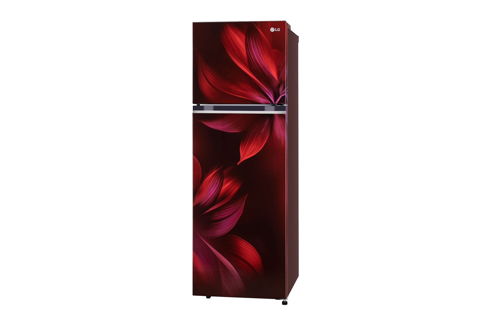 GL-S262SSAX-Refrigerators--Left-Low-Perspective-View