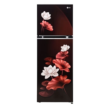LG  GL-S262SSLX double-door-refrigerators Front-View
