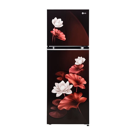  double door refrigerators