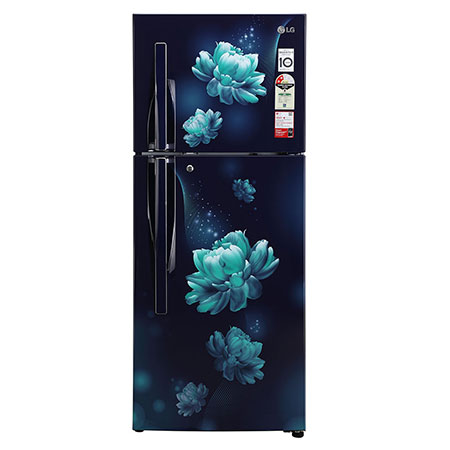 Lg double door fridge blue colour clearance