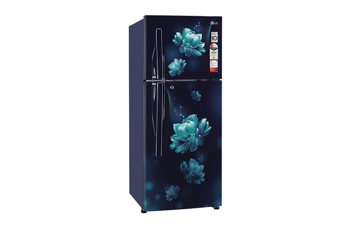 LG 240L Double Door Refrigerator, MOIST ‘N’ FRESH, Blue Charm Finish, 2 Star, GL-S292RBCY