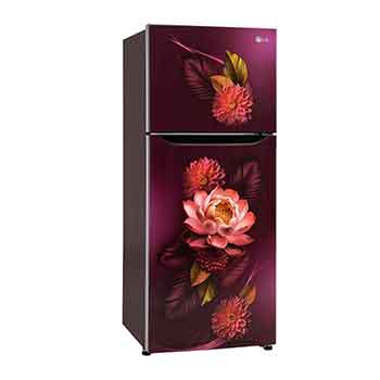 LG-GL-S292SRWY-Refrigerators-Right-View