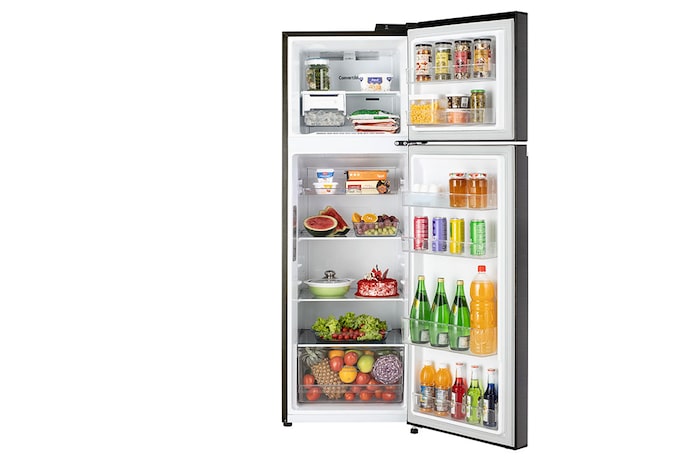 LG 272L Double Door Refrigerator, Wi-Fi Convertible, Door Cooling+™, Ebony Sheen Finish, 3 Star, GL-T312TESX