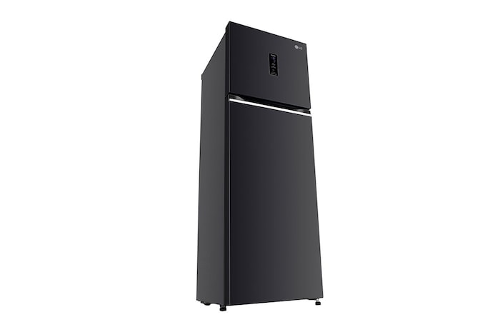 LG 272L Double Door Refrigerator, Wi-Fi Convertible, Door Cooling+™, Ebony Sheen Finish, 3 Star, GL-T312TESX