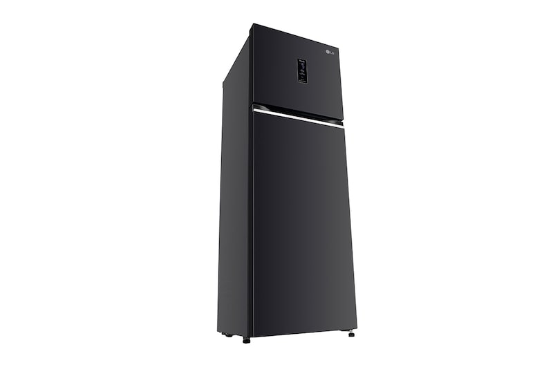 LG 272L Double Door Refrigerator, Wi-Fi Convertible, Door Cooling+™, Ebony Sheen Finish, 3 Star, GL-T312TESX