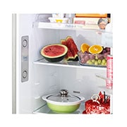 LG 272L Double Door Refrigerator, LG ThinQ™, Wi-Fi Convertible, Door Cooling+™, Shiny Steel, 3 Star, GL-T312TPZX