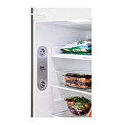 LG 412L, 1 Star, Smart Inverter Compressor, Convertible, Door Cooling™, Shiny Steel Finish, Frost-Free Double Door Refrigerator, GL-T432APZR