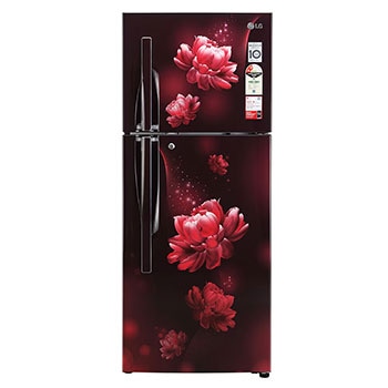 LG GL-S292RSCY Double Door Refrigerators front view