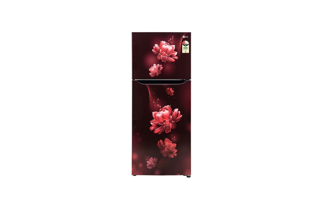LG GL-N292BSCY Double Door Refrigerators front view