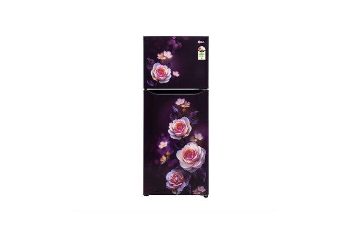 LG GL-N292DPBY Double Door Refrigerators front view