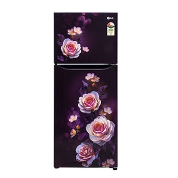 LG GL-N292DPBY Double Door Refrigerators front view