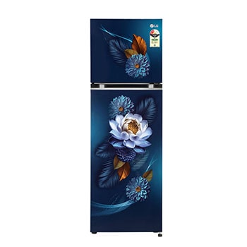 LG GL-S312SBWY Double Door Refrigerators front view