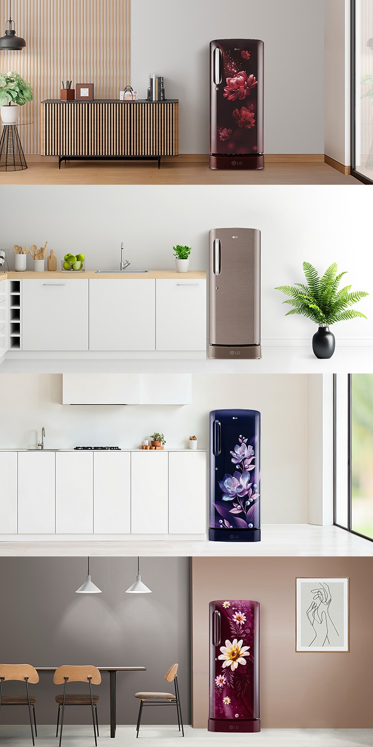 LG Single-Door Refrigerators