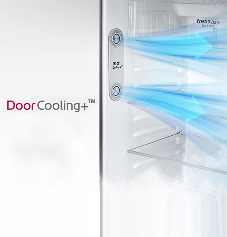240L 2 Door Refrigerator, Shiny Steel - GL-T292RPZY | LG IN