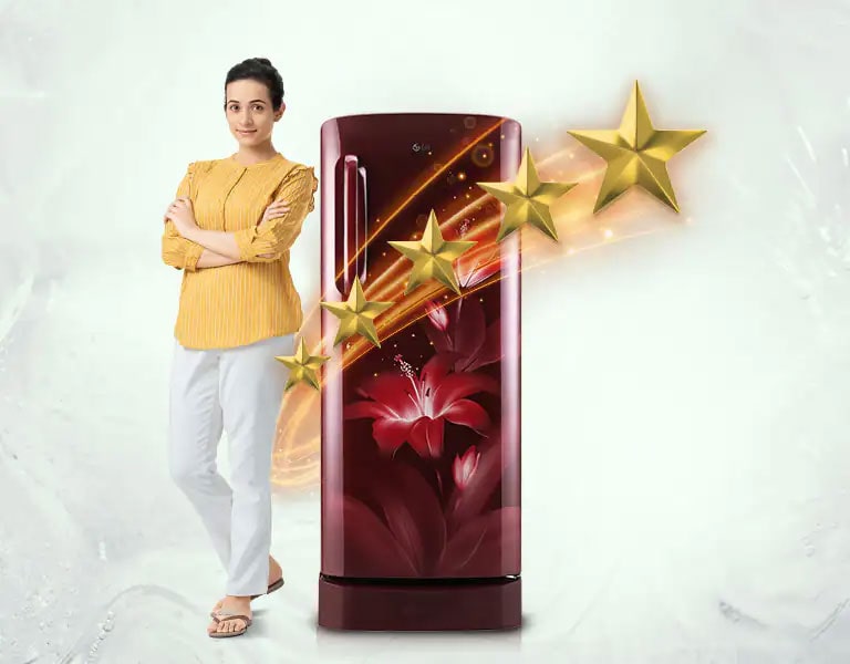 LG GL-D201ASCU 5 Star Rating. More Savings.