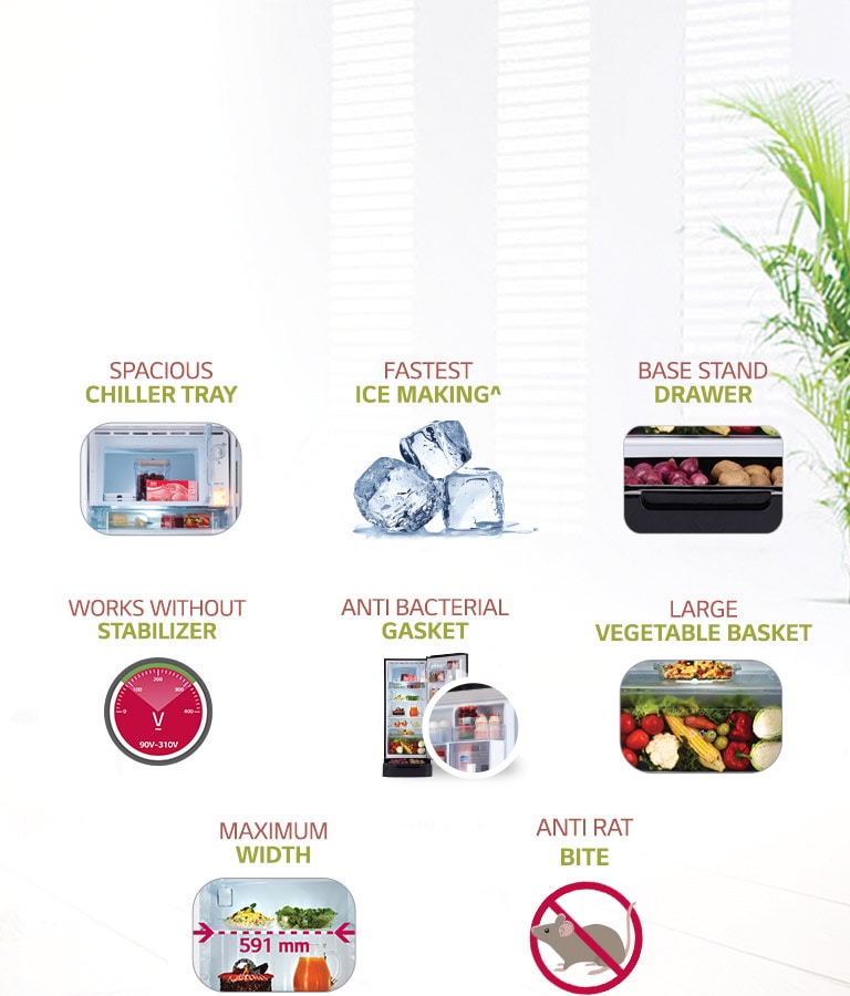 LG GL-D241ASCY 235 ltr Key Features