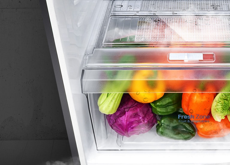 260L 2 Door Convertible Refrigerator GL S292RPZY LG IN