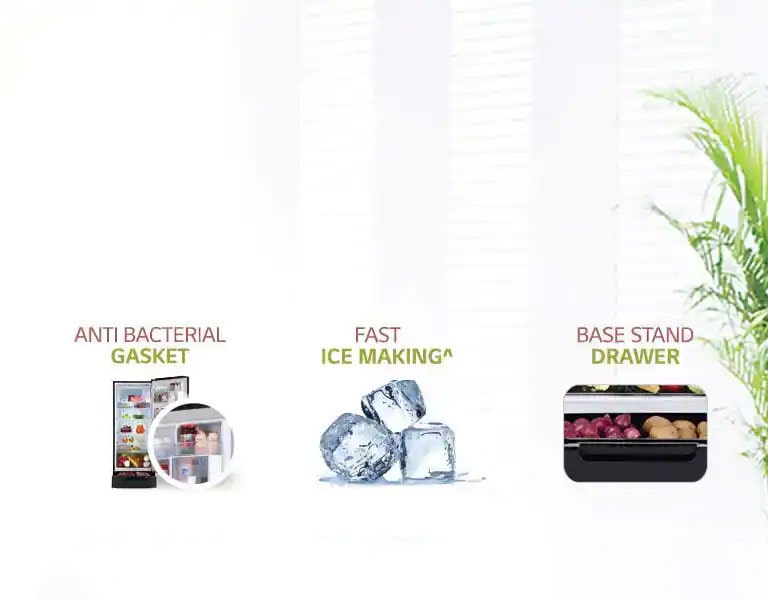 Other Key Features