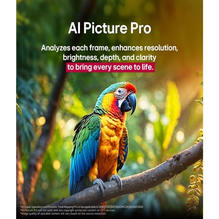 Parrot on a tree branch in vivid color. The title talks about how LG Al Picture Pro made impressive visual enhancements to the scene's resolution, brightness, depth, and clarity.