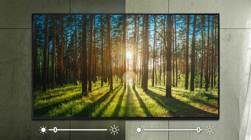 LG 32LR656BPSA A screen, depicting an image of a forest, having its brightness being adjusted for depending on the surrounding.