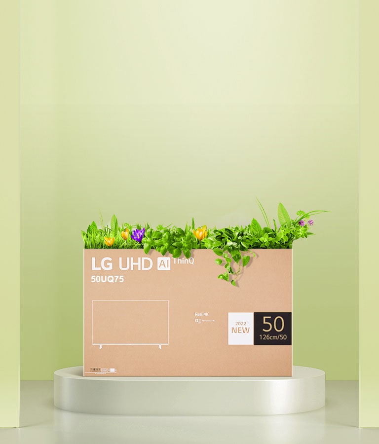 A flower box upcycled using an LG UHD monitor box packaging.