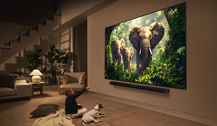 A girl and a dog are seated in front of a LG QNED TV mounted on a wall depicting three elephants walking outwards above a LG Soundbar.