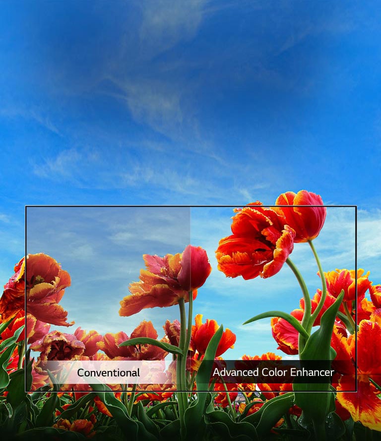 LG Dynamic Color Enhancer Smart TV