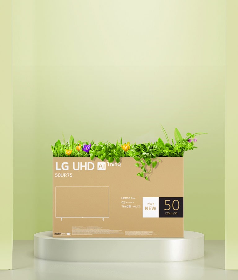 A flower box upcycled using an LG UHD TV box packaging.
