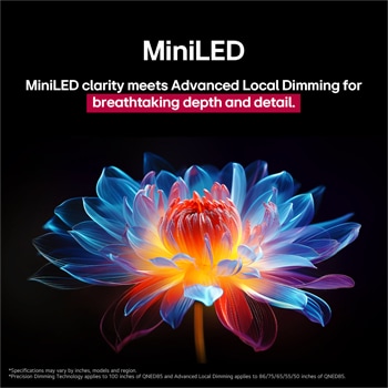 3D holographic flower in many different shades and hues against a black background. The definition and detail of the flower shows off QNED MiniLED's capability to produce visuals with exceptional color, brightness, and contrast. The title talks about how MiniLED and enhances clarity and provides exceptional contrast.